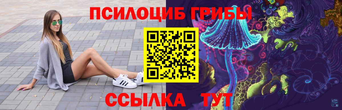 Галлюциногенные грибы мухоморы Богданович