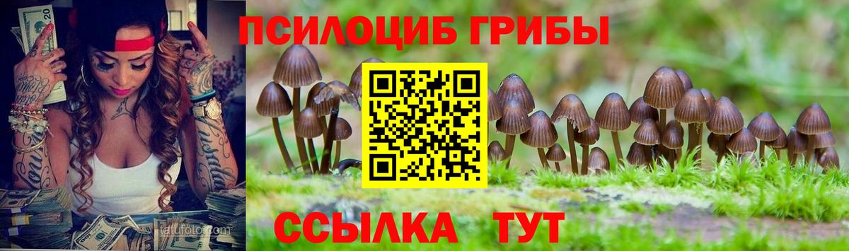даркнет сайт  Галлюциногенные грибы MAGIC MUSHROOMS  Галлюциногенные грибы Psilocybe  Вход с VPN  Богданович 